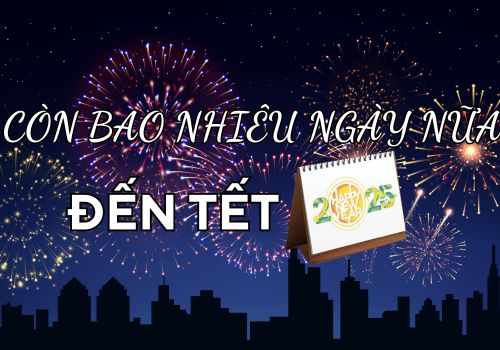 Bạn Có Biết, Chỉ Còn 66 Ngày Nữa Đến Tết 2025!