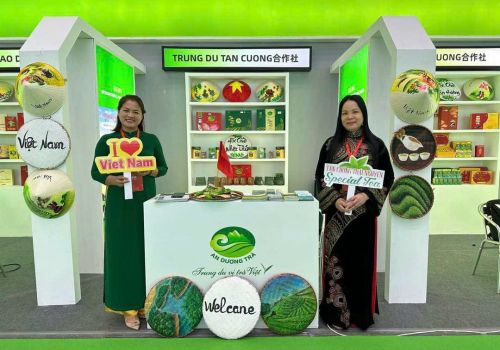 5 Bước Xây Dựng Kịch Bản Kể Chuyện Thương Hiệu Trà Cho Hội Chợ, Triển Lãm