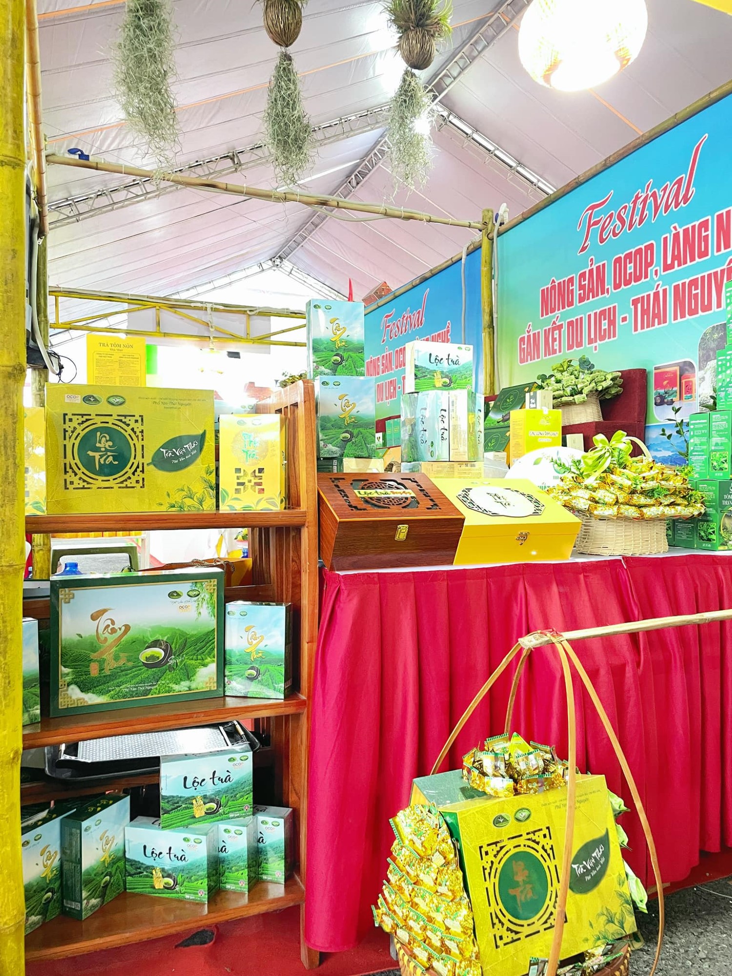 486099286_1091724266309587_8346203627676984299_n